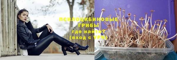 дживик Каменск-Шахтинский