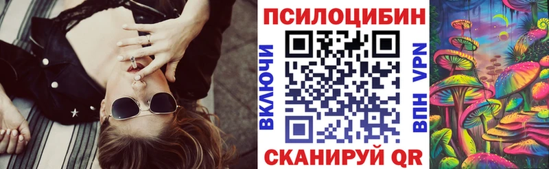 Купить  Куйбышев  Псилоцибиновые грибы Cubensis 